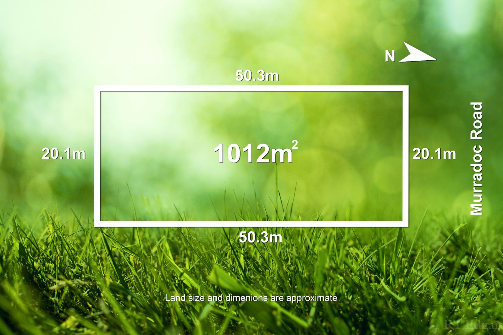 Real Estate and Property in 1340 Murradoc Road, St Leonards, VIC