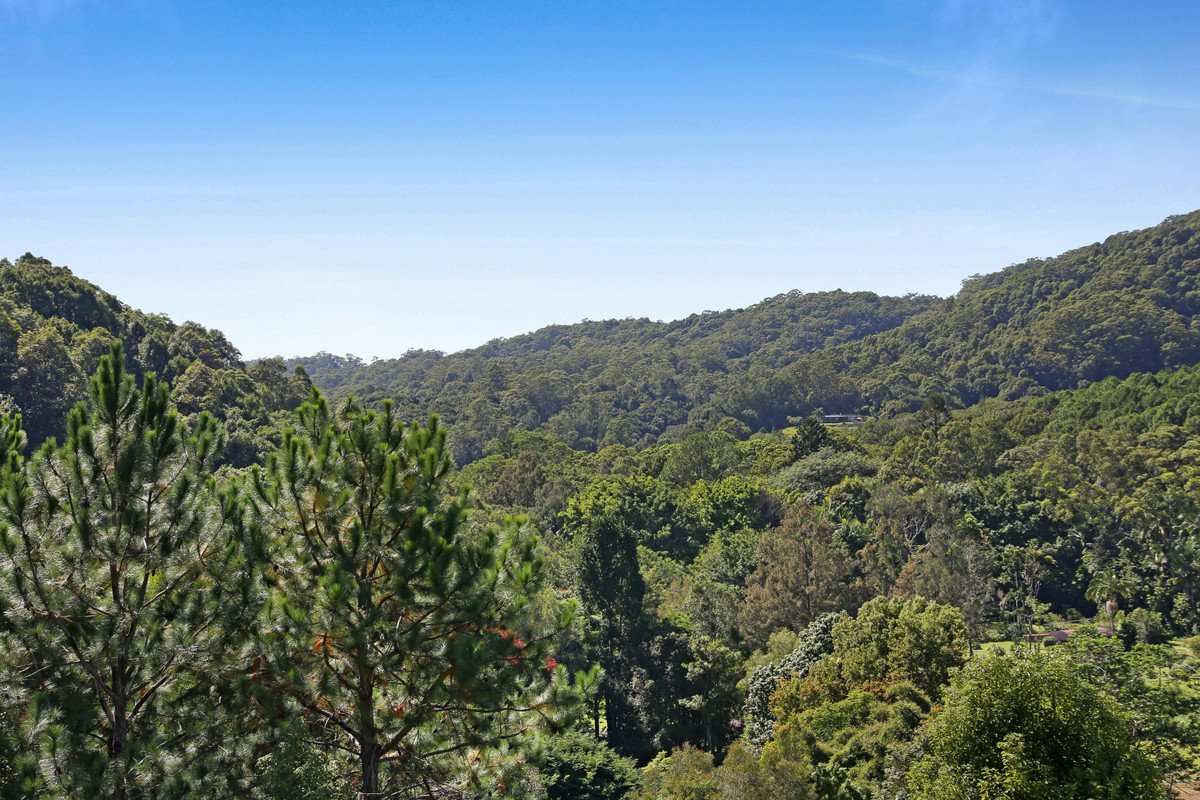 1340B Currumbin Creek Road Currumbin Valley 6