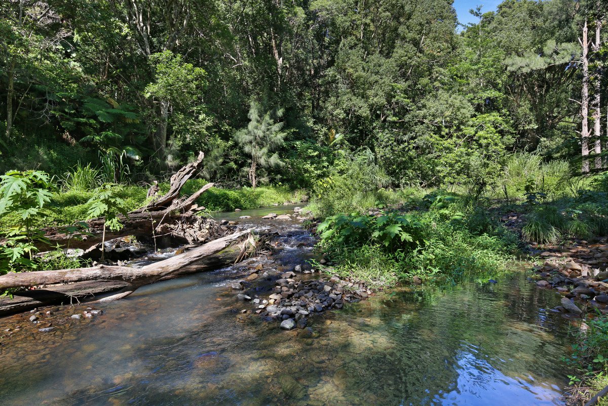 1340B Currumbin Creek Road Currumbin Valley 9