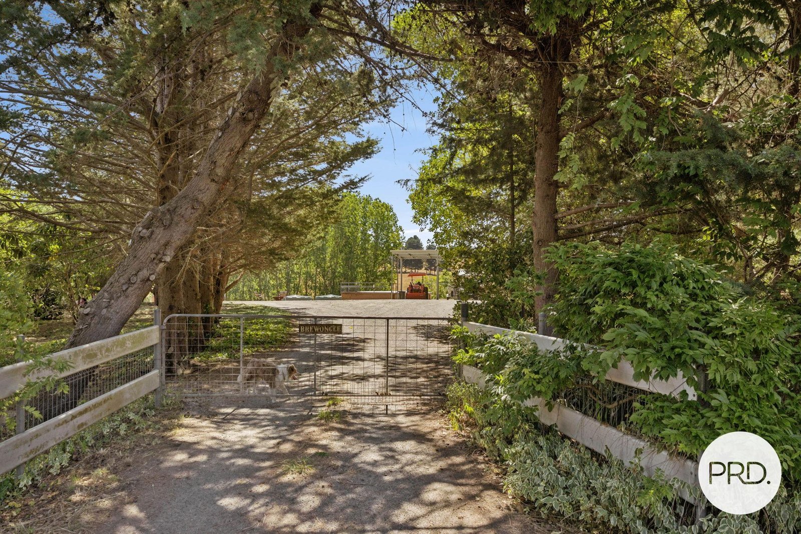 1349 Bungendore Road BYWONG 14