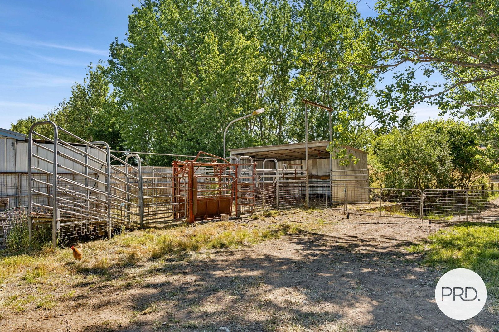 1349 Bungendore Road BYWONG 15