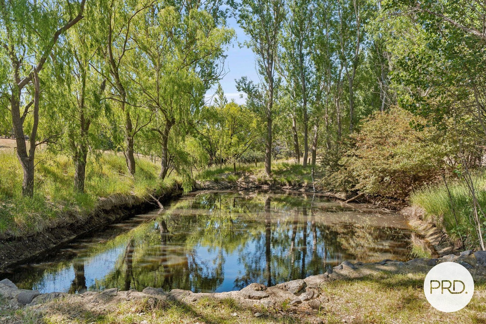 1349 Bungendore Road BYWONG 16