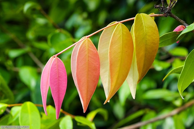 135 Bay Park Road WONDUNNA 14