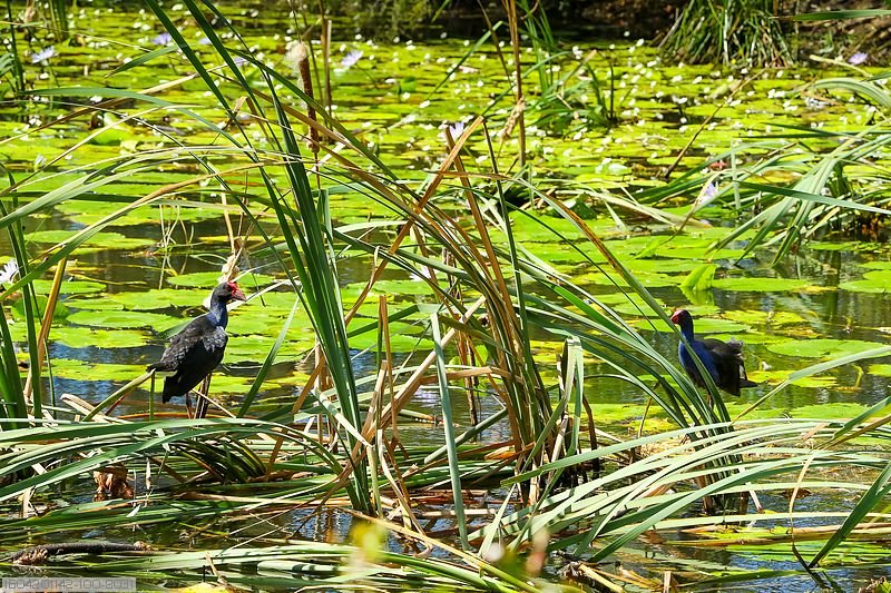 135 Bay Park Road WONDUNNA 23