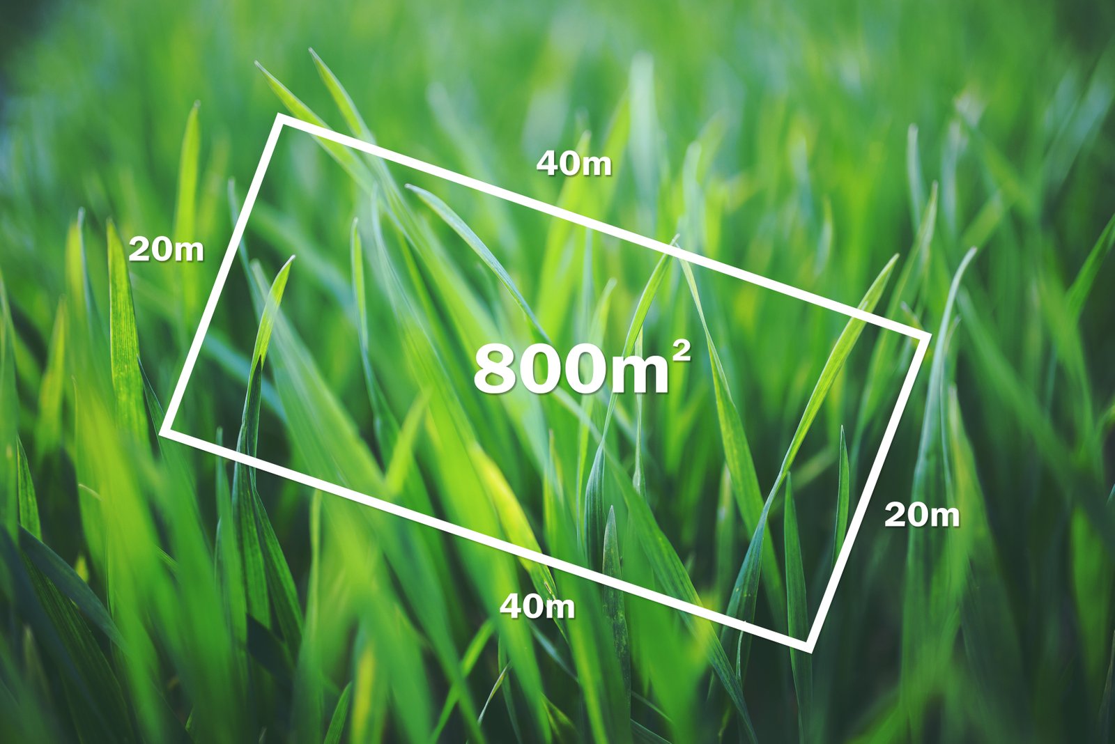 135 Daylesford Road BROWN HILL 1