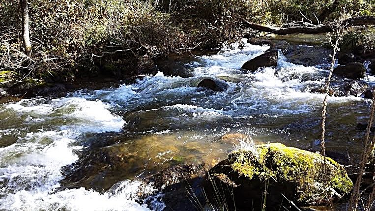 135 Elliott Way TUMBARUMBA 3