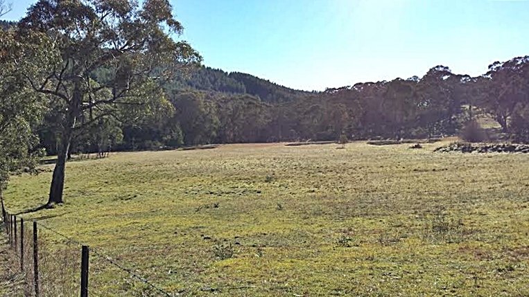 135 Elliott Way TUMBARUMBA 5