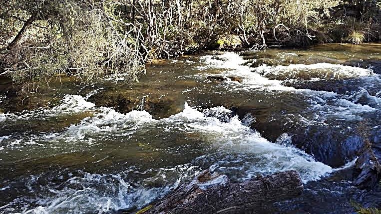 135 Elliott Way TUMBARUMBA 15