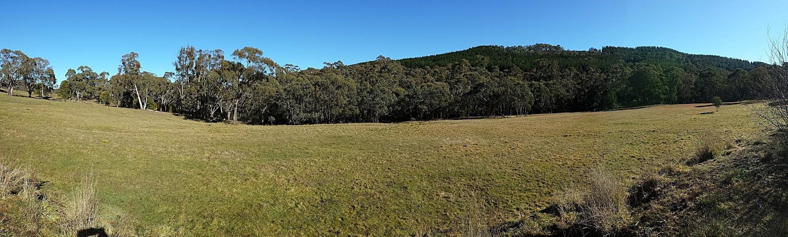 135 Elliott Way TUMBARUMBA 18