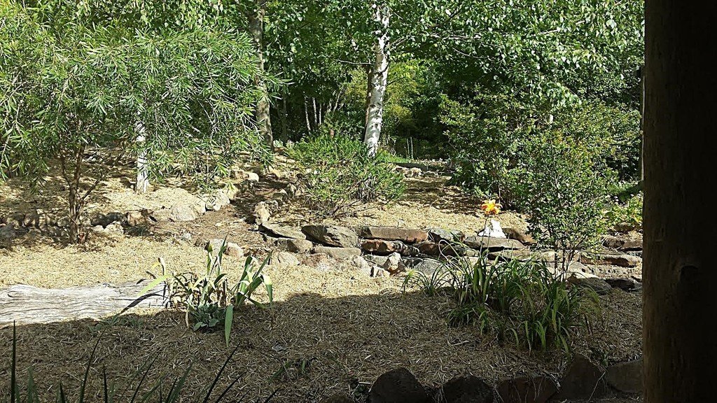 135 Elliott Way TUMBARUMBA 19