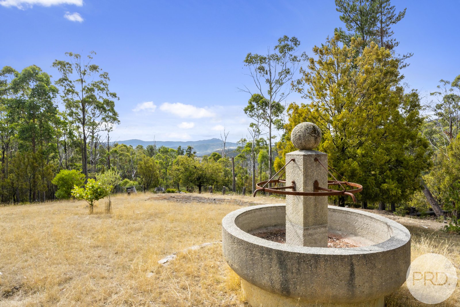 135 Jefferys Track LACHLAN 14