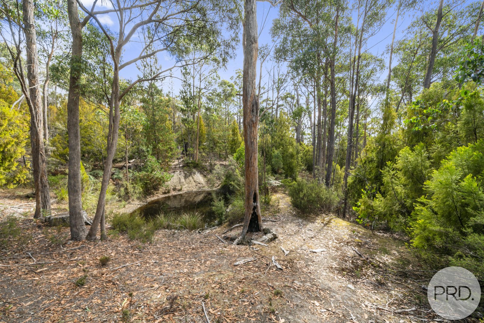 135 Jefferys Track LACHLAN 16