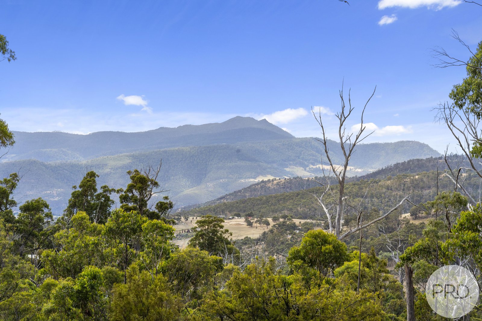 135 Jefferys Track LACHLAN 19