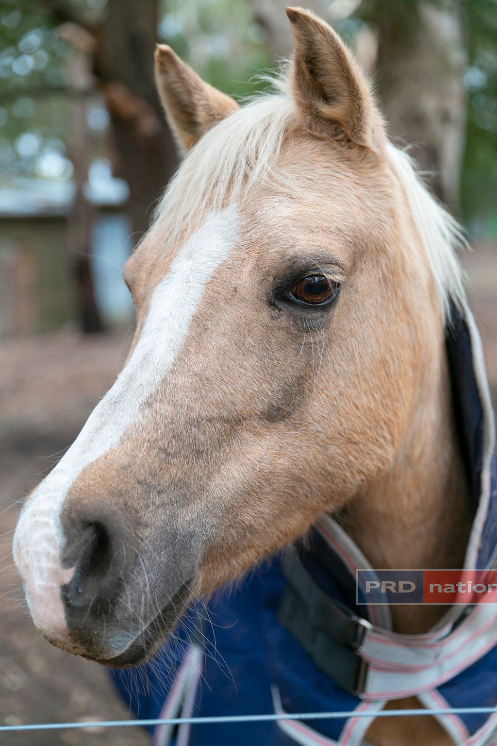 135 Lyons Road NAVIGATORS 17
