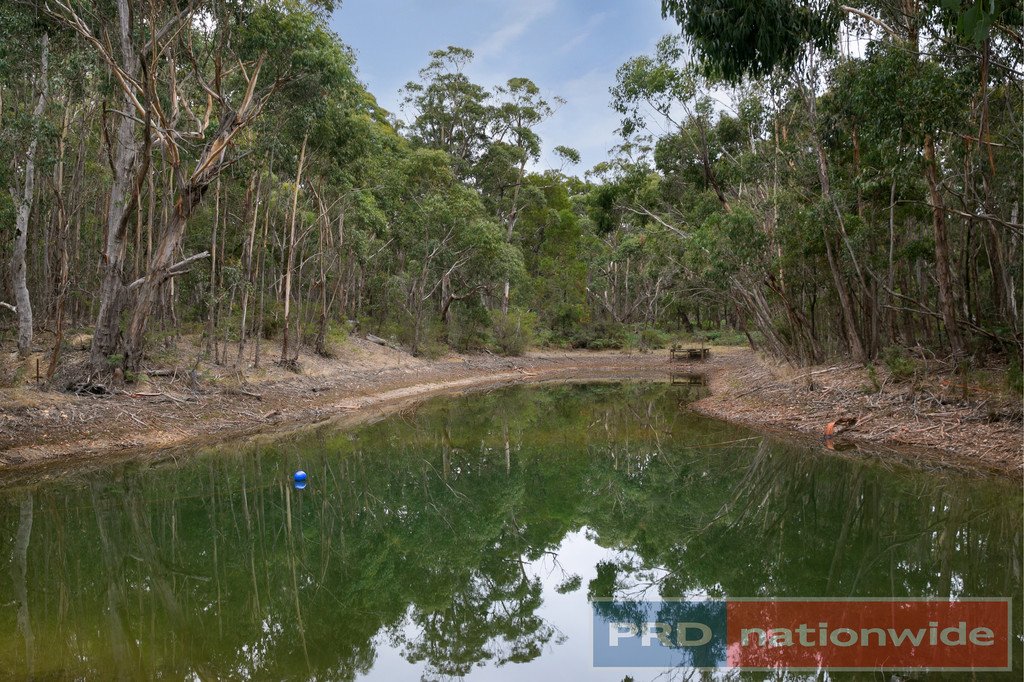 135 Lyons Road NAVIGATORS 18