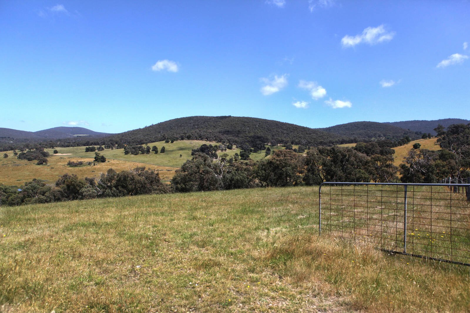 Real Estate and Property in 135 Mount Charlie Road, Riddells Creek, VIC