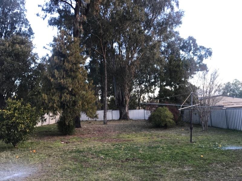 135 Piper Street TAMWORTH 8