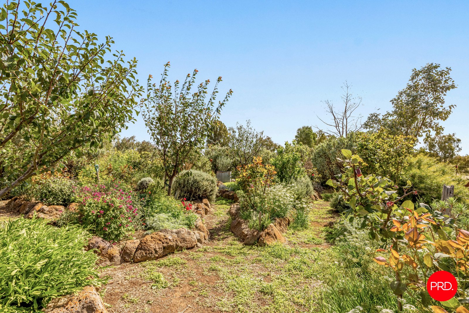 136 Mcniffs Road REDESDALE 13