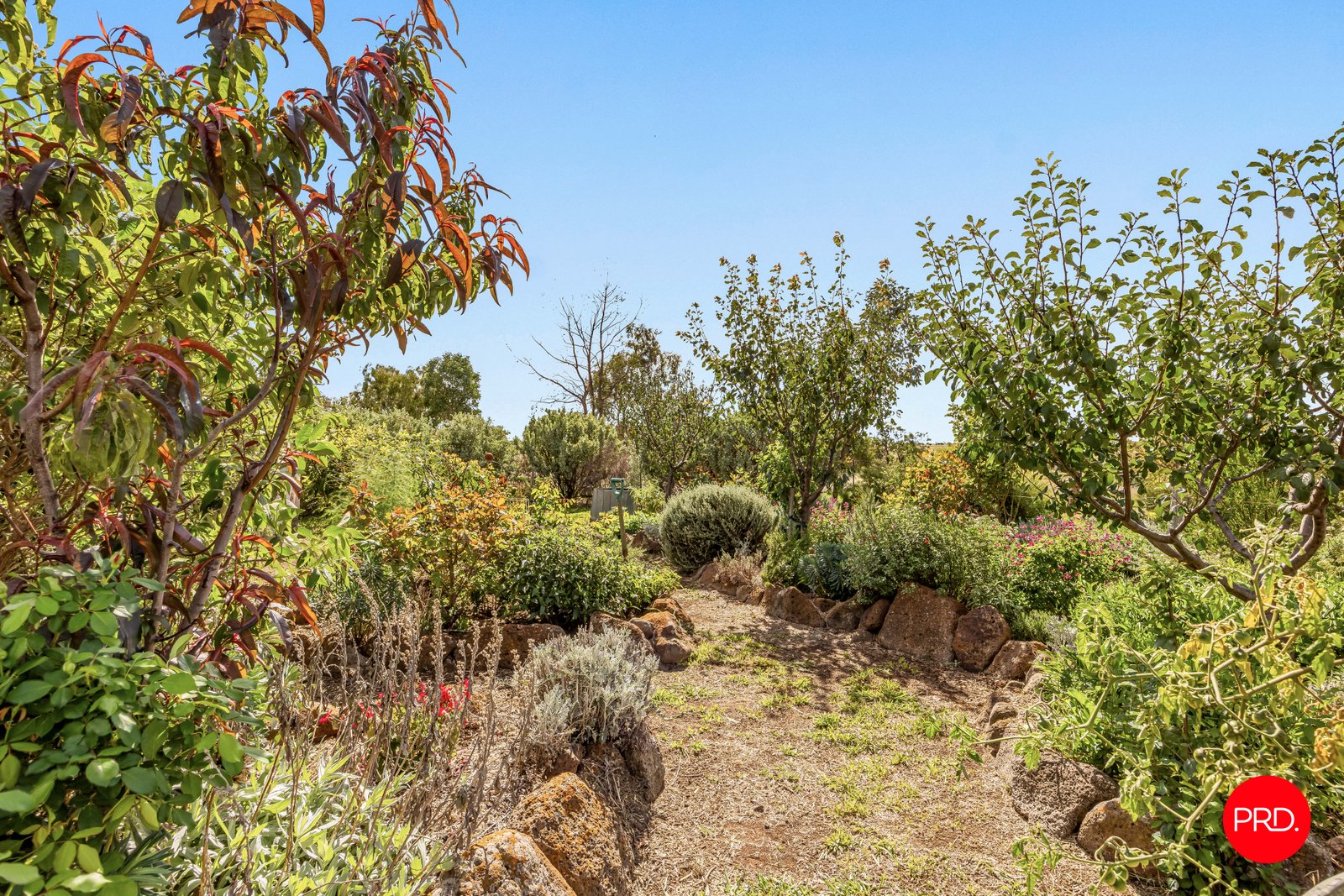 136 Mcniffs Road REDESDALE 14