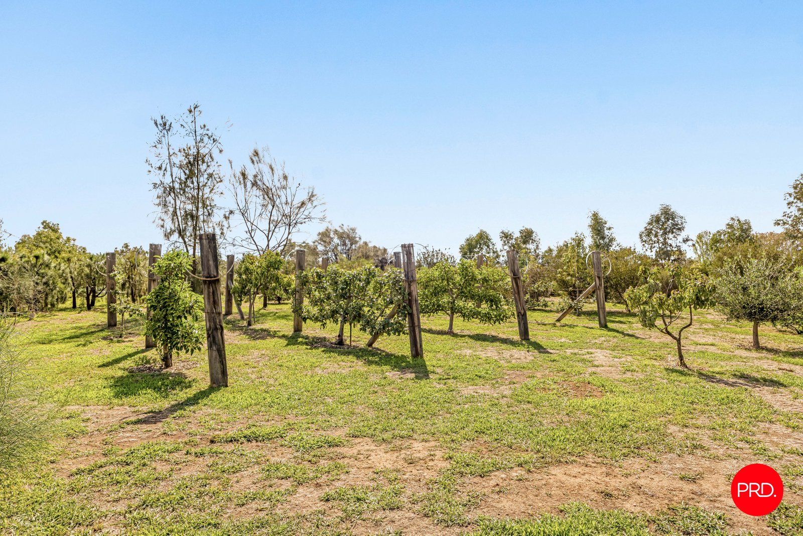 136 Mcniffs Road REDESDALE 18