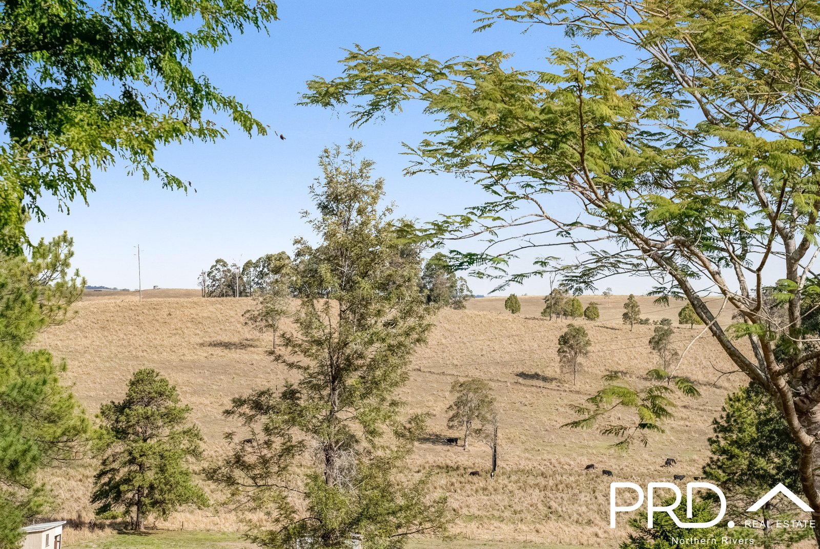 136 Runnymede Road KYOGLE 27