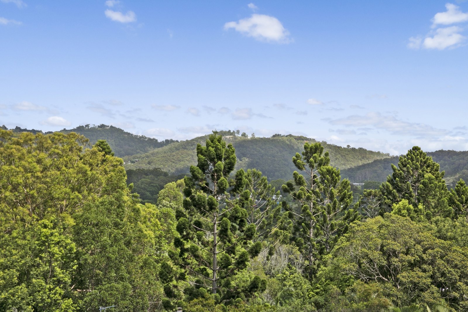 136 Valley Drive TALLEBUDGERA 7