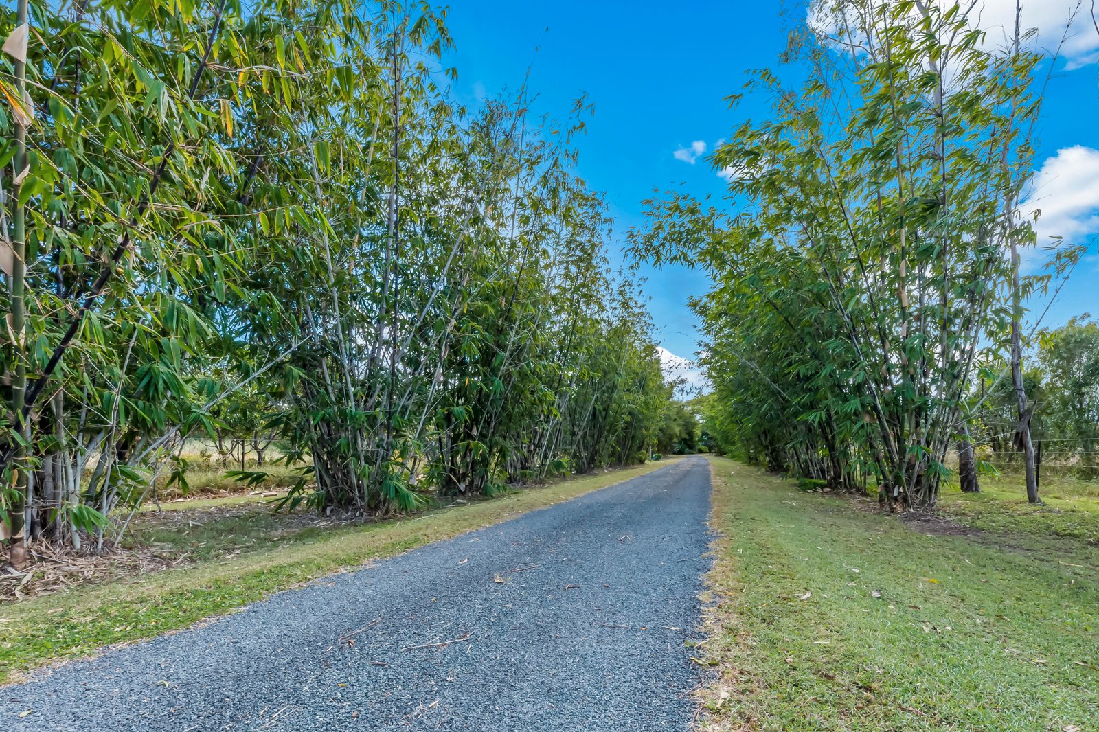 13640 Bruce Highway GREGORY RIVER 19