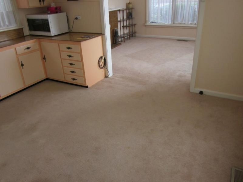 Gallery: 137 Anderson Street