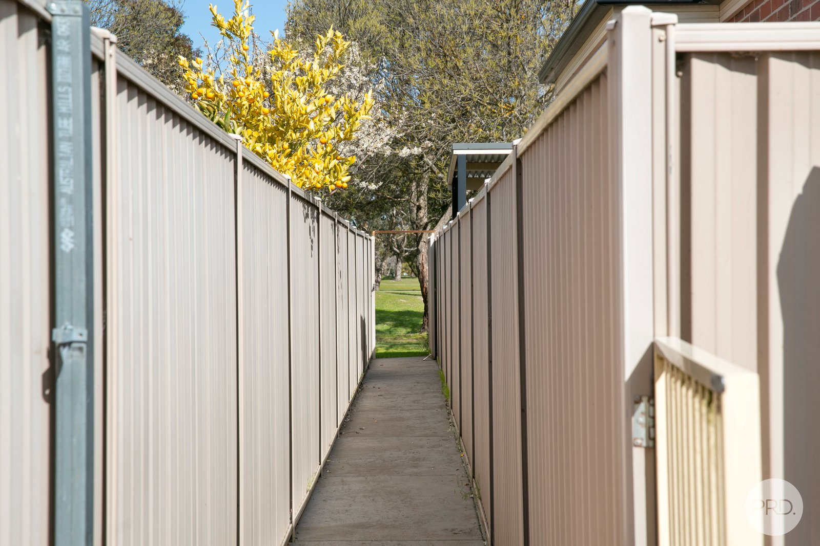 137 Bogong Avenue INVERMAY PARK 20