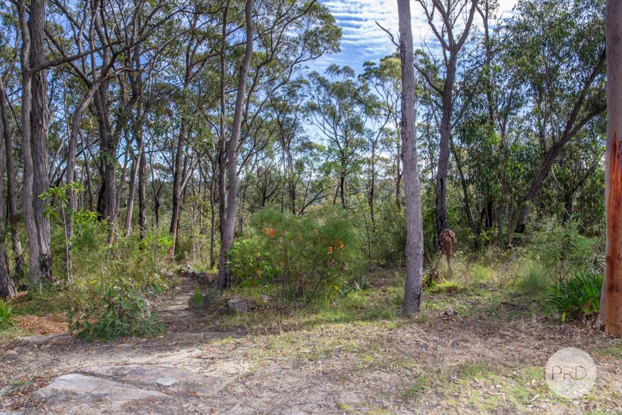 137 Burns Road SPRINGWOOD 7