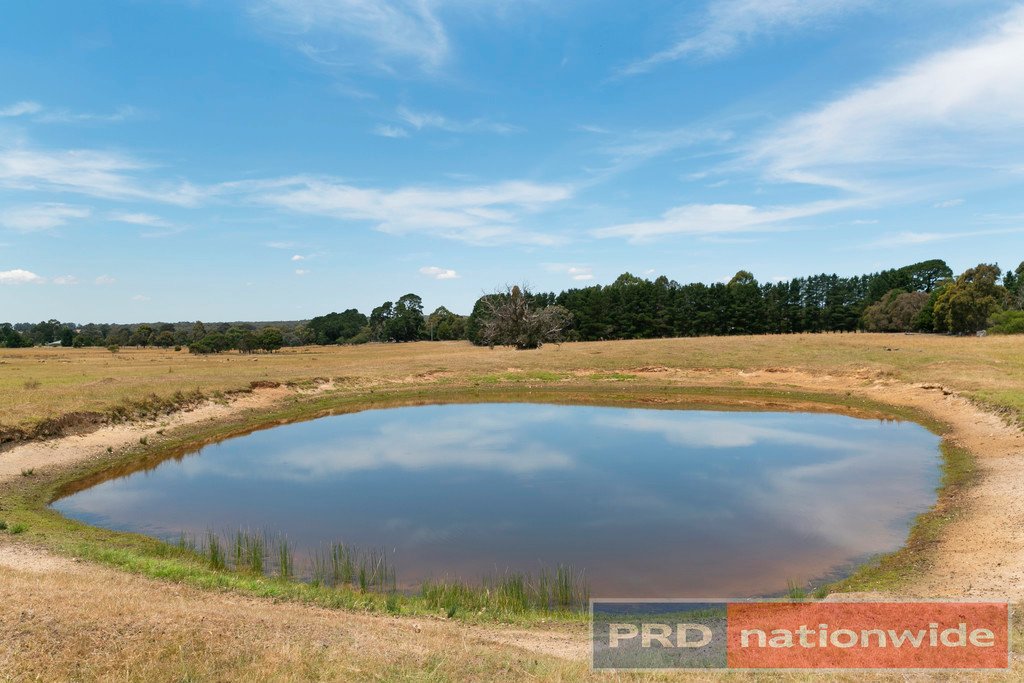 137 Coates Road SNAKE VALLEY 5