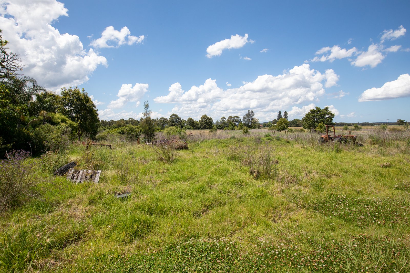 137 Edithville Road MILLERS FOREST 2