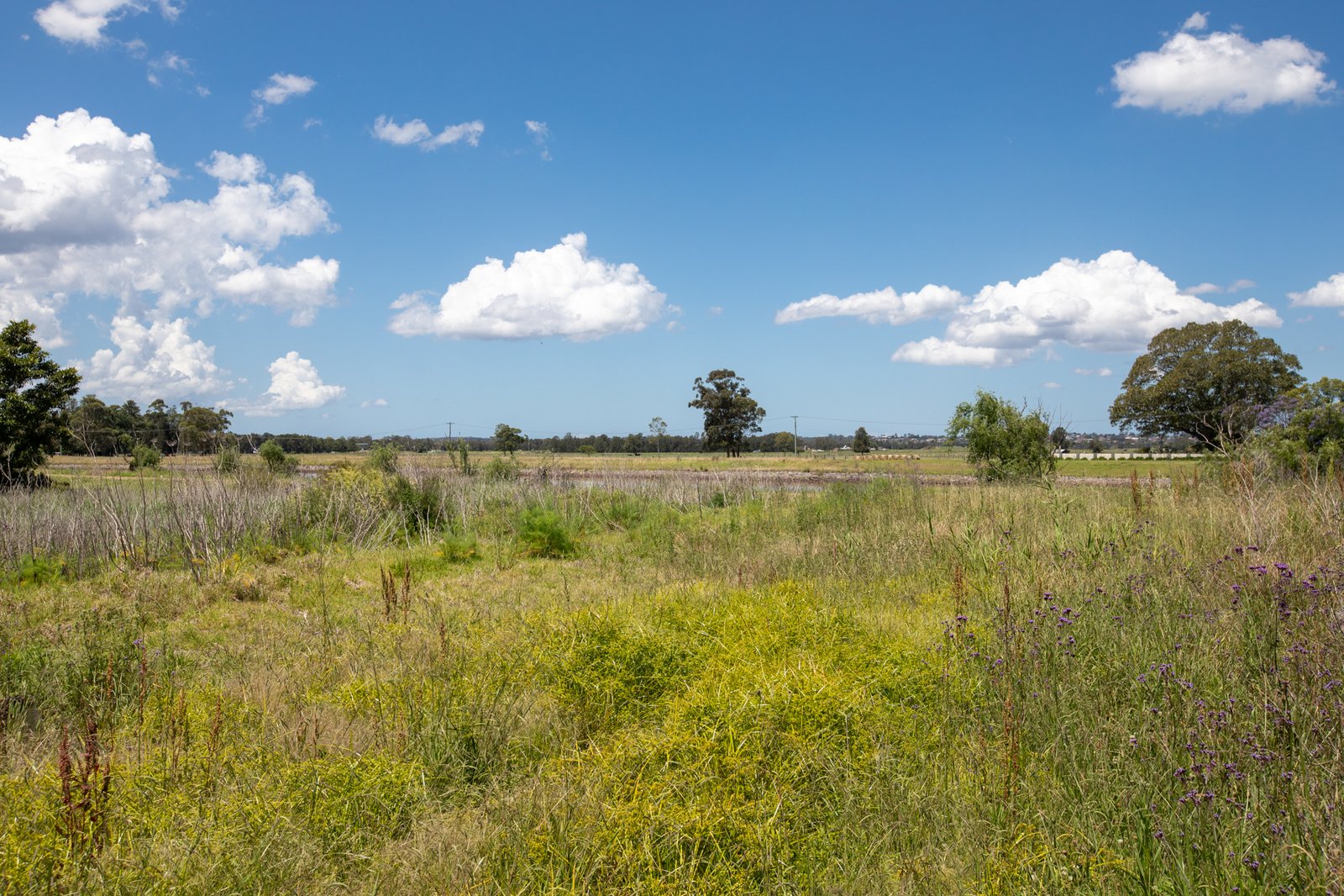 137 Edithville Road MILLERS FOREST 3