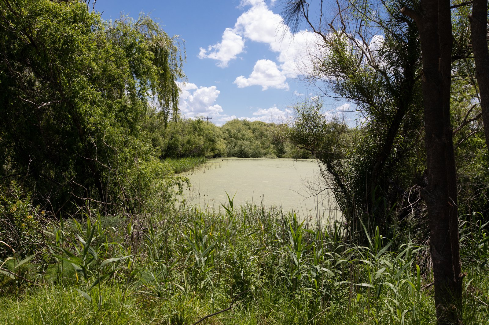 137 Edithville Road MILLERS FOREST 4