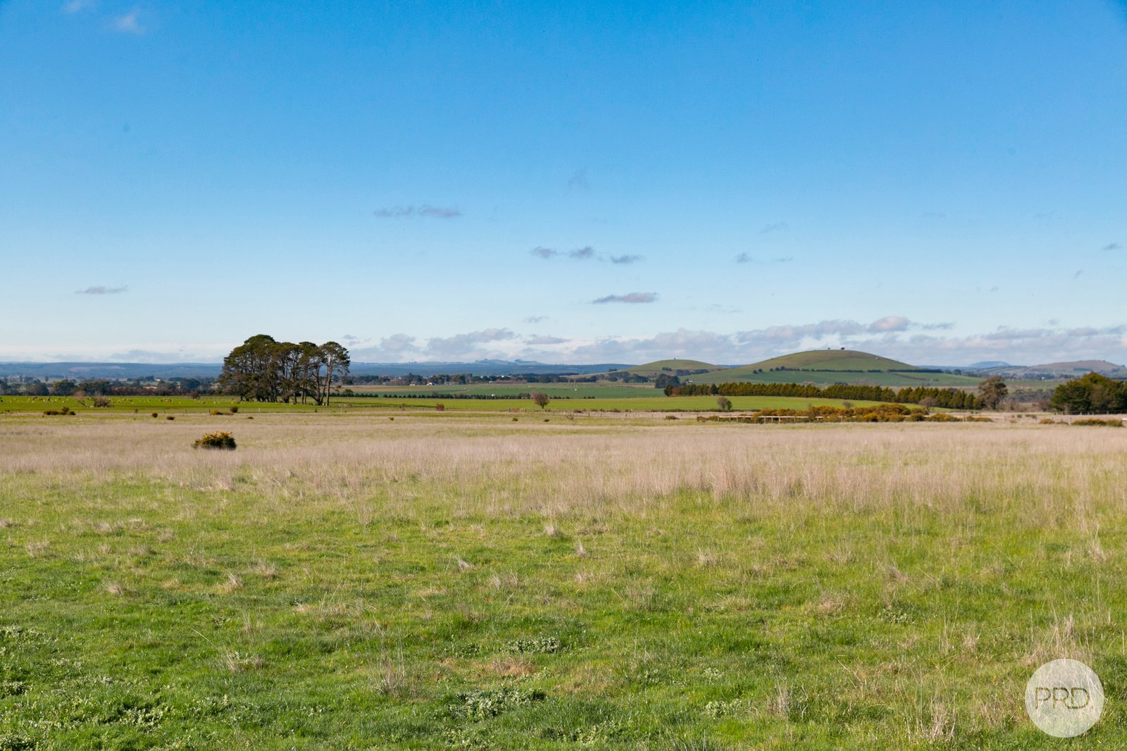 137 Griffins Road COGHILLS CREEK 18