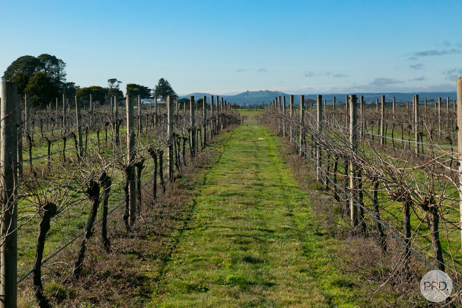 137 Griffins Road COGHILLS CREEK 19