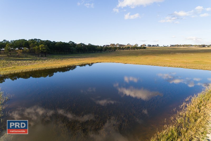 137 Leahys Lane LAKE BATHURST 25