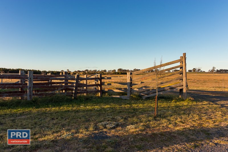 137 Leahys Lane LAKE BATHURST 31