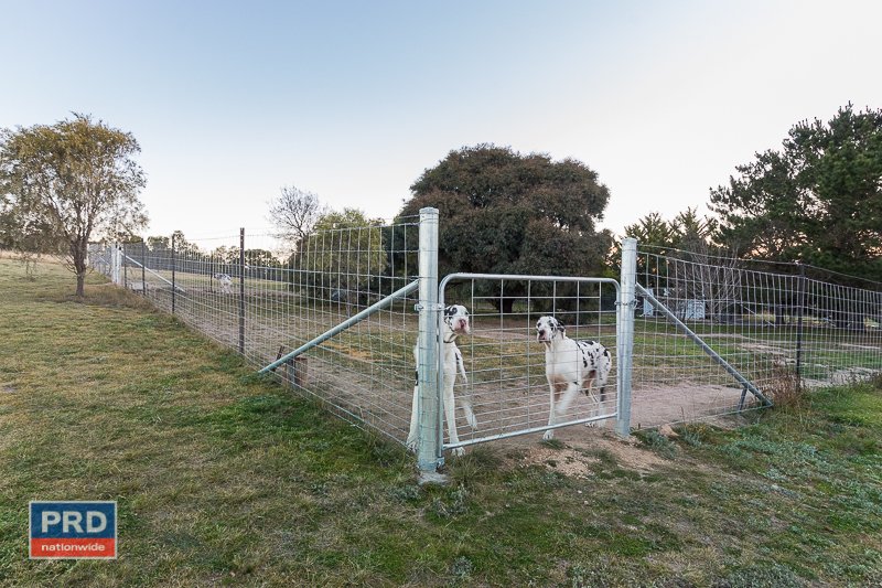 137 Leahys Lane LAKE BATHURST 33