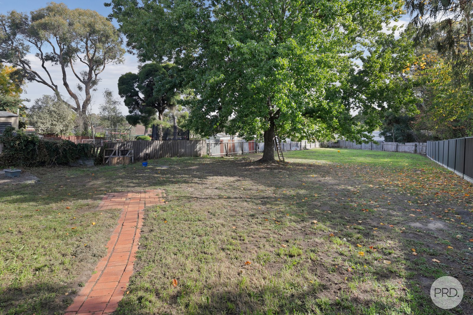 137 Ryan Street BROWN HILL 14