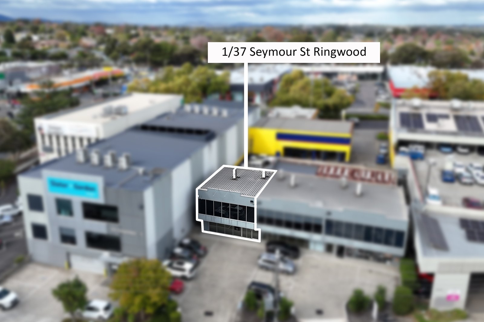 Gallery: 1/37 Seymour Street