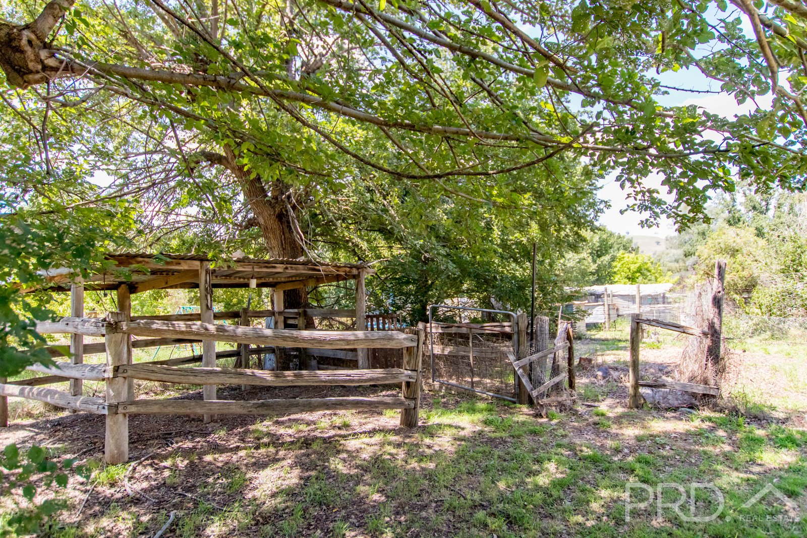 1378 Brungle Road BRUNGLE 15