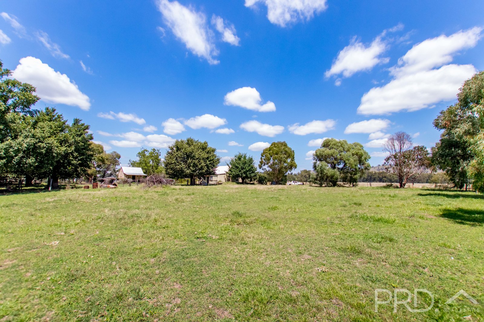 1378 Brungle Road BRUNGLE 16