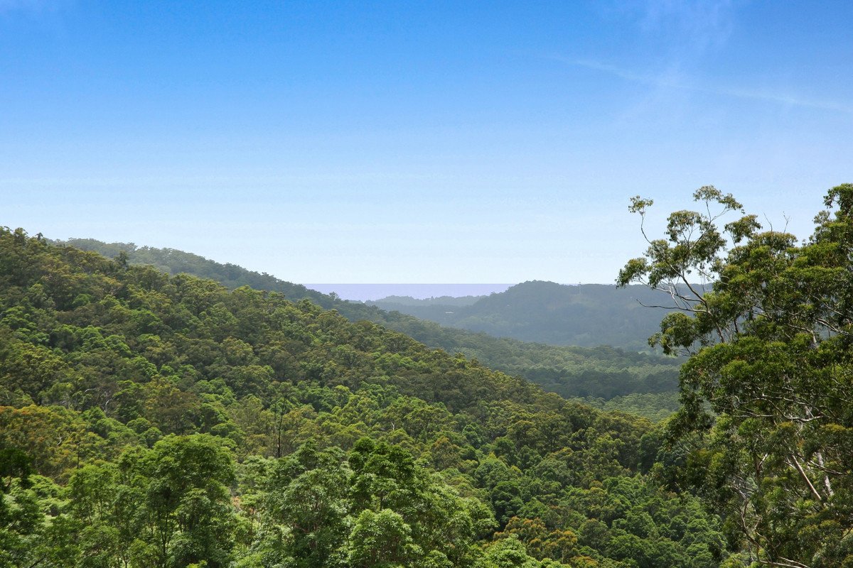 138 Araluen Road Tallebudgera Valley 4