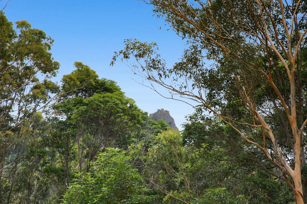 138 Araluen Road Tallebudgera Valley 20