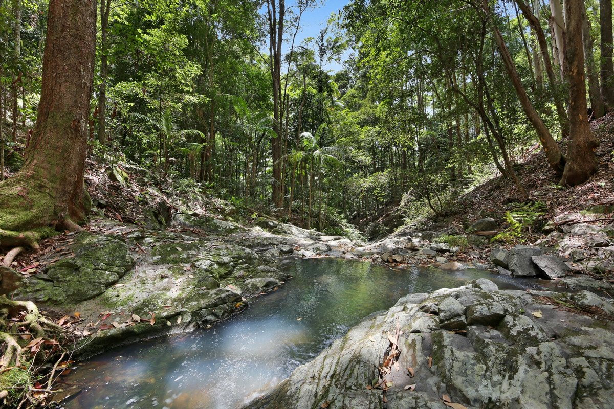 138 Araluen Road Tallebudgera Valley 25