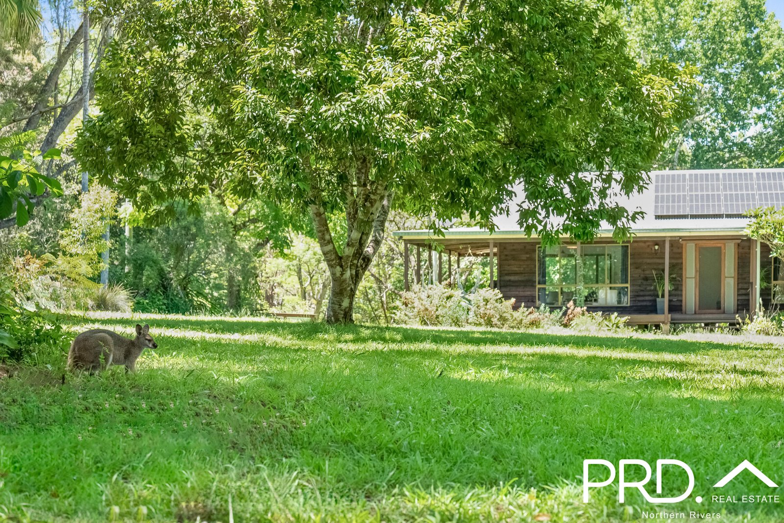 138 Gungas Road NIMBIN 35