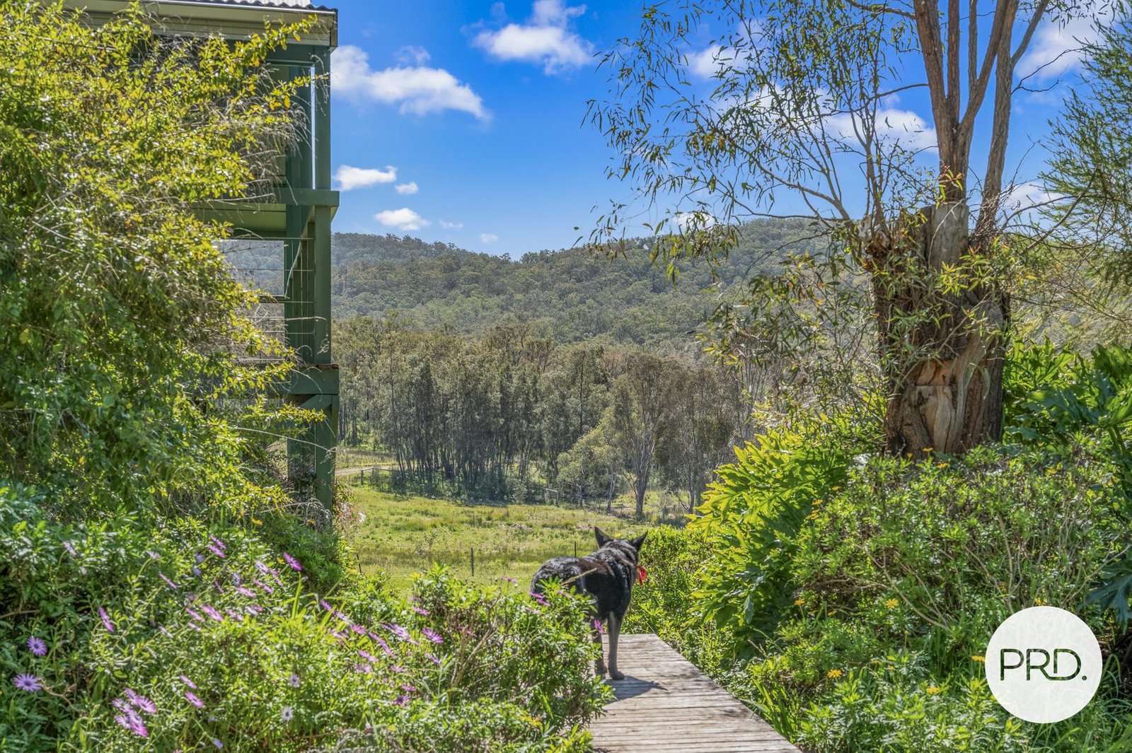 1389 Giants Creek Road GIANTS CREEK 13