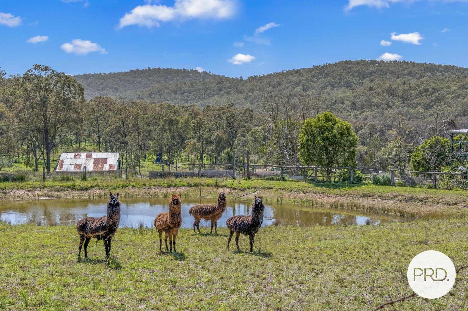 1389 Giants Creek Road GIANTS CREEK 33