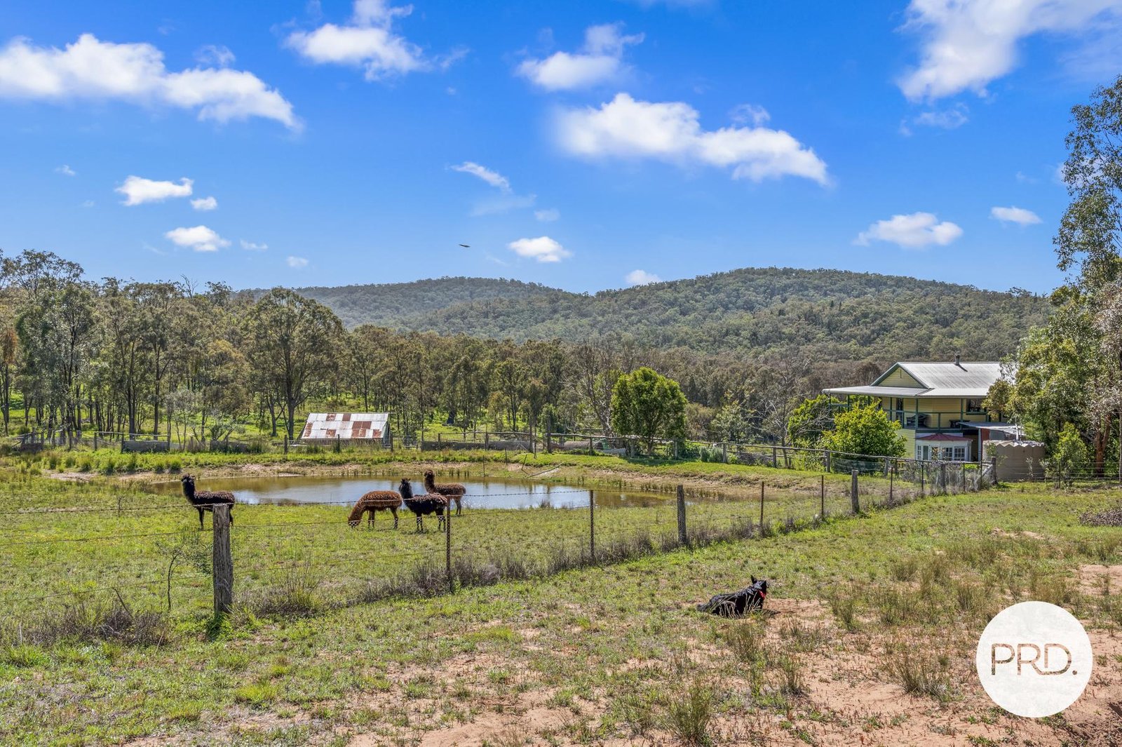1389 Giants Creek Road GIANTS CREEK 34